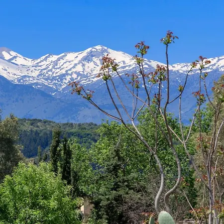 Argoulides Traditional Appartments *
